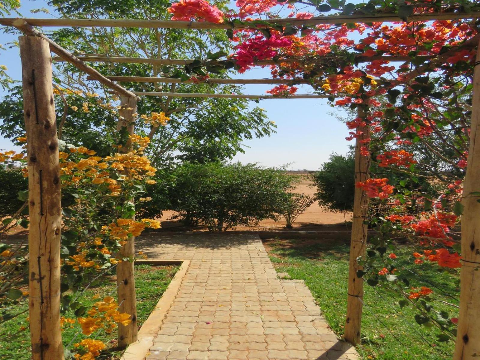 Tropic Of Capricorn Guest Farm Rehoboth Exterior foto
