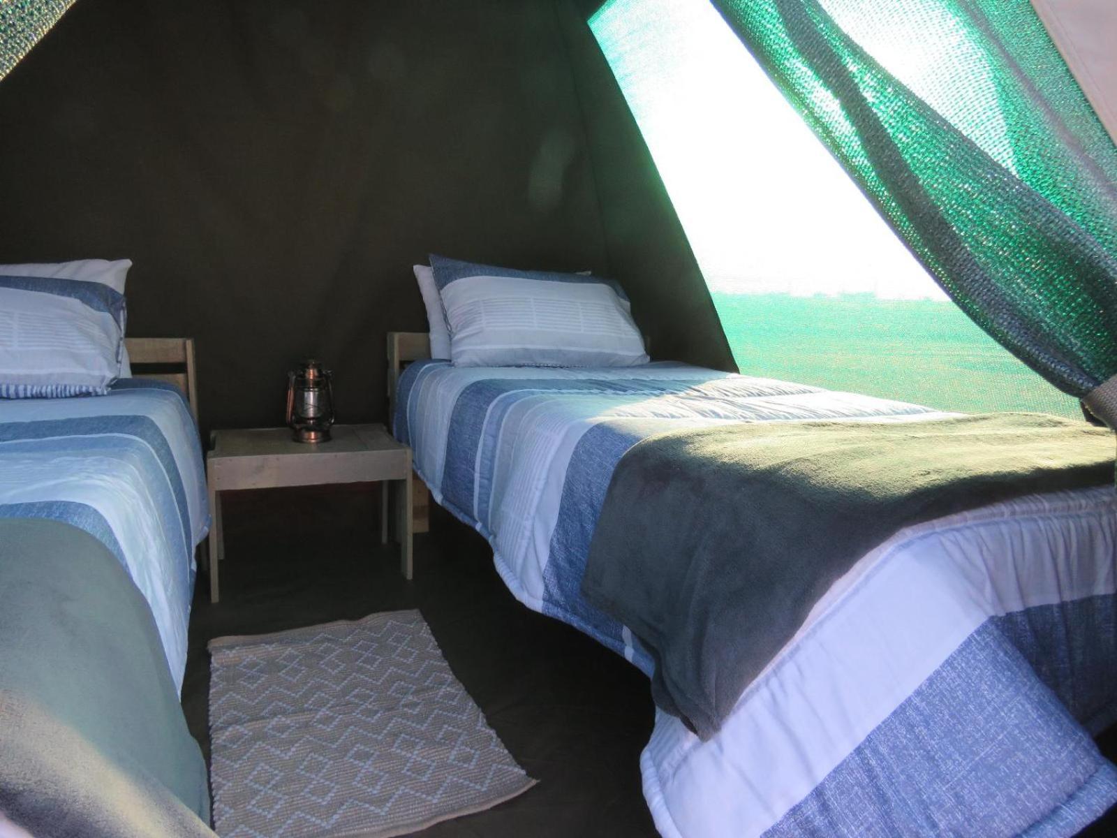 Tropic Of Capricorn Guest Farm Rehoboth Quarto foto