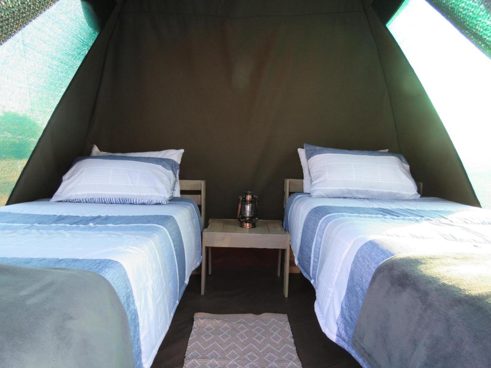 Tropic Of Capricorn Guest Farm Rehoboth Quarto foto